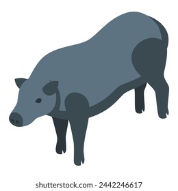 Black farm pig icon isometric vector. Domestic business. Country animals