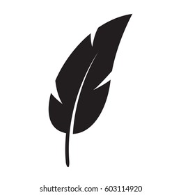 black feather