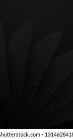 Black feather background. Abstract bird feathers composition.