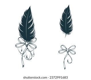 Black feather decorated with a ribbon bow.   Design elements isolated on white. Hand drawn vector illustration.