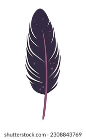 black feather decoration icon isolated