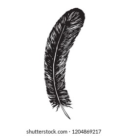 Black feather, hand drawn doodle, sketch outline, vector illustration