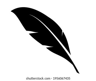 Black feather as icon isolated on white background. Vector