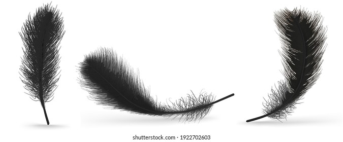 Black Feather On A White Background. Realistic Vector Illustration