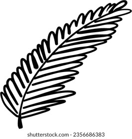 plumas negras sobre el aislamiento de dibujo de la mano de la hoja blanca, negra y blanca sobre fondo blanco
