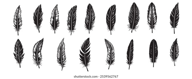 black feather set collection use your desing