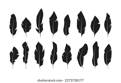 Black feather shape. Weightless bird plume icons, simple quill silhouette, soft fluffy curved wing plumelet for logo web design. Vector isolated set. Elegant lightweight feather, pen for writing