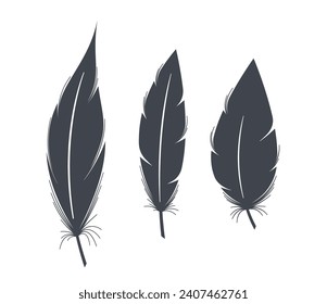 Black Feather Silhouettes. Elegant, Intricate Bird Plumes In Shadow, Capturing Graceful Contours, For Artistic Designs