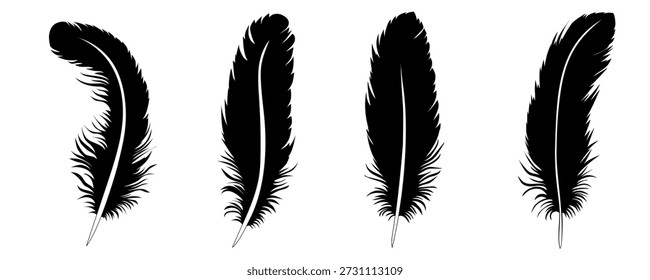 Conjunto de siluetas de plumas negras. Colección de presentar diferentes tamaños y Formas para el diseño creativo. Ilustración vectorial