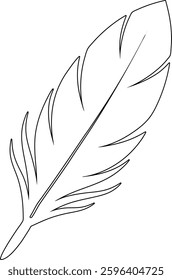 Black Feather Vector Line Art Illustration – Minimalist Feather Drawing for Designs