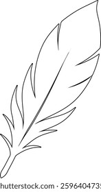 Black Feather Vector Line Art Illustration – Minimalist Feather Drawing for Designs