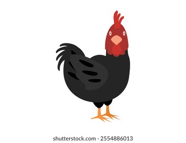 Black feathered chicken. Simple flat illustration.