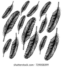 Black feathers