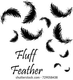 Black feathers