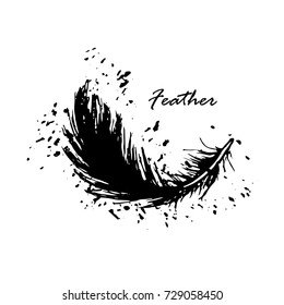 Black feathers