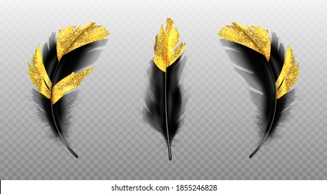 Black feathers with gold glitter isolated on transparent background. Vector realistic set of golden colored bird or angel quills, soft fluffy plumes with yellow sparkles