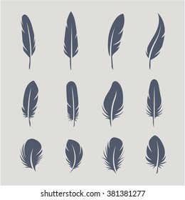 Black feathers icon set isolated on light background