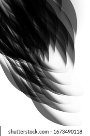 Black feathers on a white background. Blurry feathers, abstract illustration.