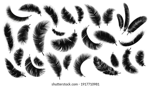 Black feathers. Realistic bird weightless plume in different angles set, fluffy soft swan and goose feather isolated on white collection. Symbol of lightness, vector 3D vintage decorative elements