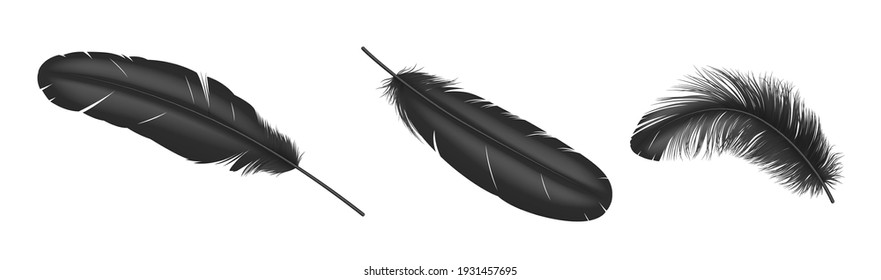 Black feathers. Realistic bird weightless plume in different angles set, fluffy soft swan and goose feather isolated on white background. 3d vector illustration