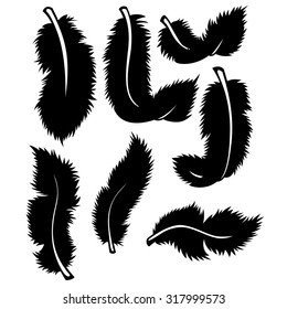 Black feathers set