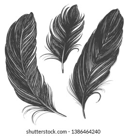 black feathers set hand drawn vector illustration realistic sketch