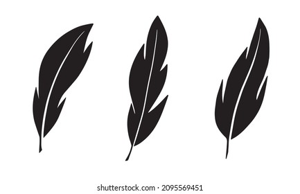 Black feathers. Feathers set. Vector illustration