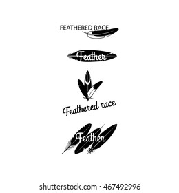Black feathers silhouettes for logotype design. Vector illustration