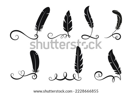 Black feathers written calligraphy elements. Isolated swirls, flourish filigree lines with feather. Vector graphic design, vintage letters tails