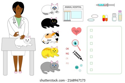 A Black Female Veterinarian Doing A Vaccine  Shot To A Cat