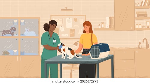 Black female veterinarian examining cat concept vector illustration. Vet doctor curing pets. Customer with cat visit veterinary clinic