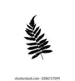 black fern forces on a white background,