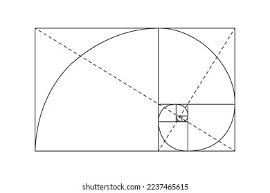 Black fibonacci on white backboard. Vector illustration design. Golden ratio symbol.