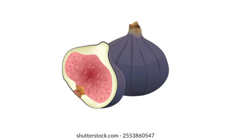 black fig vector illustrations. whole and half figs.	