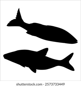 Black Fish silhouette vector illustration