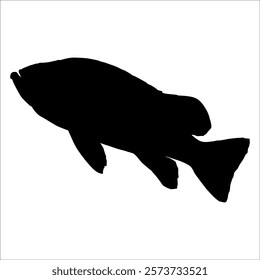 Black Fish silhouette vector illustration