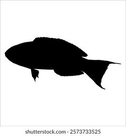 Black Fish silhouette vector illustration