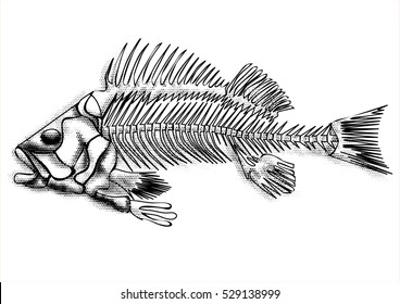 black fish skeleton