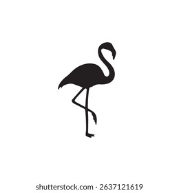 Black Flamingo Beautiful Bird Image
