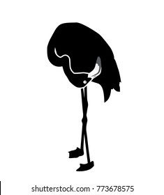 Black flamingo isolated on white background. Vector Illustration. EPS10