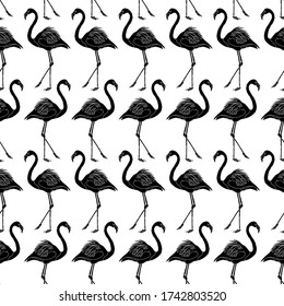 Diseño de fondo del patrón flamenco negro