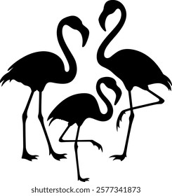 Black flamingos vector silhouette art illustration