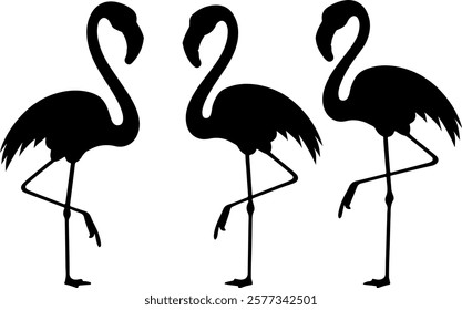 Black flamingos vector silhouette art illustration