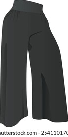 Pantalones sueltos acampanados negros. Vector