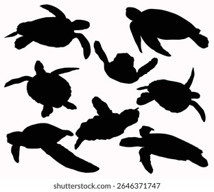 Black flat color simple elegant Aldabra Giant Tortoise animal vector and illustration. Sea turtle stencil template bundle isolated on white background. Beautiful tortoise walking and swimming.