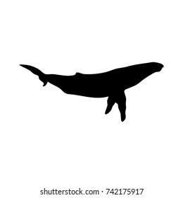 black flat whale icon isolated on white background. blower sign. marine nature symbol. vector illustration. black and white