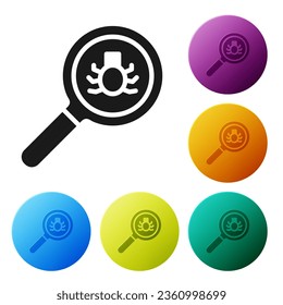 Black Flea search icon isolated on white background. Set icons in color circle buttons. Vector