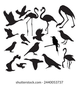 Black flock of bird vector illustration design .
