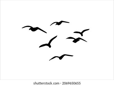 black flock of birds vector 
