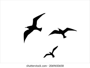 black flock of birds vector 